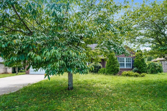 property at 11006 Packard Ct