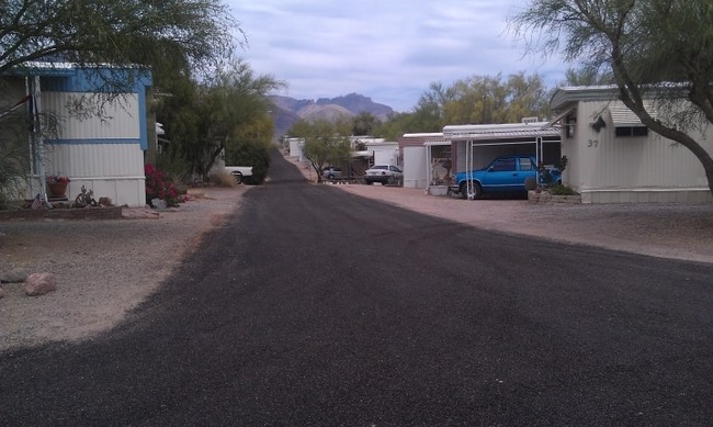 Palo Verde Hills in Apache Junction, AZ - Building Photo - Building Photo