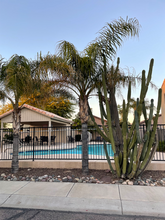 2758 E Schiliro Cir in Phoenix, AZ - Building Photo - Building Photo