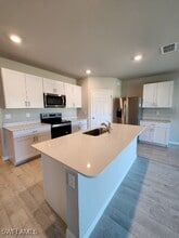 20513 Camino Torcido Lp in North Fort Myers, FL - Building Photo - Building Photo