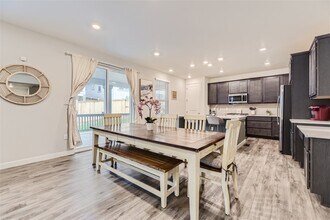 16736 Desert Wine Ln in Parker, CO - Building Photo - Building Photo