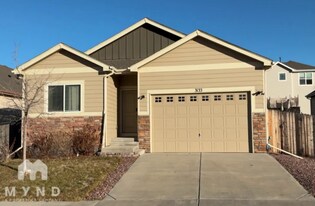 3133 Bursa Dr in Colorado Springs, CO - Building Photo