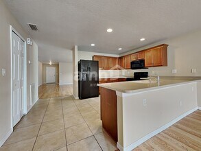 31015 Mandolin Cay Ave in Wesley Chapel, FL - Foto de edificio - Building Photo