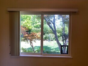 15 Sage Ct, Unit Gorgeous In-Law Apartment in Walnut Creek, CA - Building Photo - Building Photo