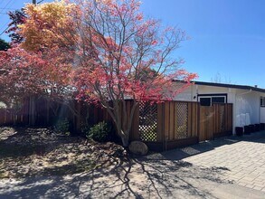 512 Cliff Dr in Aptos, CA - Building Photo - Building Photo