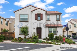 1339 Sauvignon St in Mountain House, CA - Building Photo