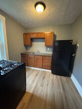 311 W Burgess St in Pittsburgh, PA - Building Photo - Building Photo