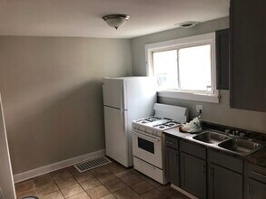 530 Locust St in Elgin, IL - Building Photo - Building Photo