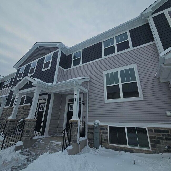 233 Settlers Pl in West Dundee, IL - Building Photo - Building Photo