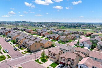 845 Fire Rock Pl in Colorado Springs, CO - Building Photo - Building Photo