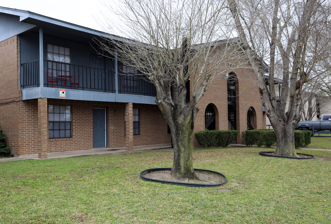 Ash Tree Apartments in Edinburg, TX - Building Photo