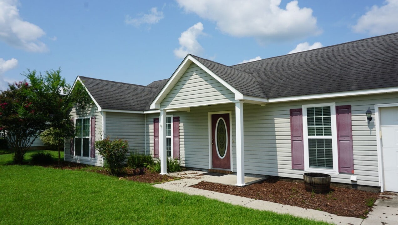 19 Jacobs Walk in Lakeland, GA - Building Photo