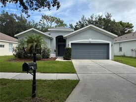 19111 Cypress Reach Ln in Tampa, FL - Building Photo