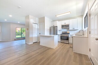 901 S Racine Ave in Chicago, IL - Building Photo - Building Photo