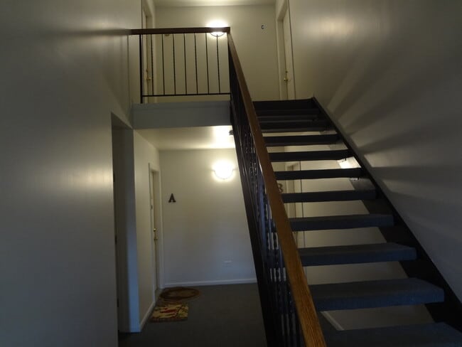 220 Brett Cir in Wauconda, IL - Building Photo - Building Photo