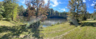 651 Mc Abee Rd in Chesnee, SC - Building Photo - Building Photo