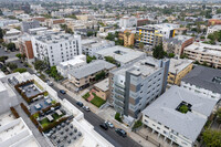 709 South Manhattan Place in Los Angeles, CA - Building Photo - Building Photo