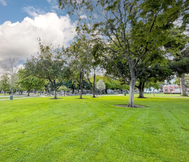 Apartamentos Alquiler en San Jose, CA