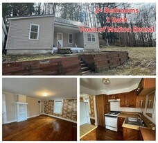 34 E Brook Dam Rd in Walton, NY - Building Photo