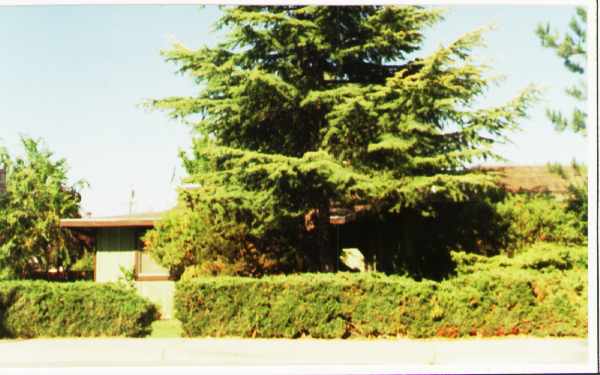 2330 San Juan Ave in Walnut Creek, CA - Foto de edificio - Building Photo