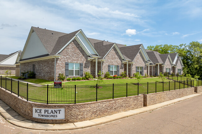 Ice Plant Townhomes