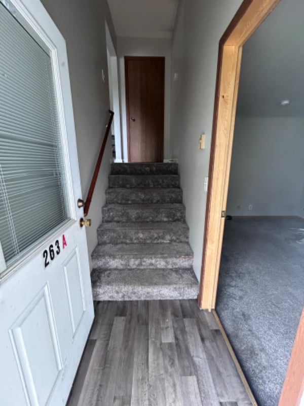 263 Orrin St in Winona, MN - Building Photo - Building Photo