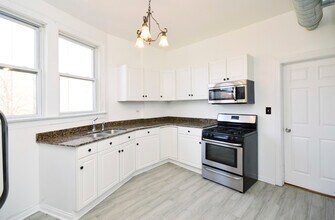 1154 W 17th St in Chicago, IL - Building Photo - Building Photo