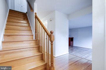 2838 Lafora Ct in Vienna, VA - Building Photo - Building Photo