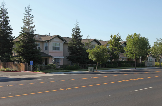 Almond Terrace in Manteca, CA - Building Photo - Building Photo