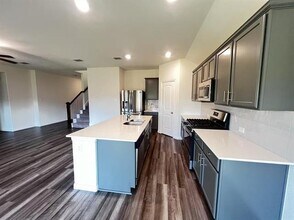 1333 Renoir Dr in Little Elm, TX - Foto de edificio - Building Photo
