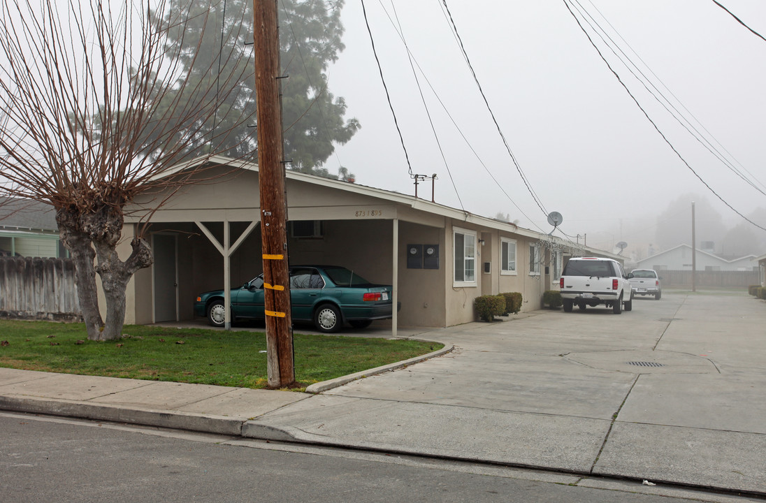 873-895 Chestnut St in Turlock, CA - Building Photo