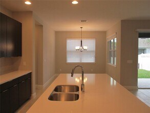 7252 Backwoods Trail in Windermere, FL - Building Photo - Building Photo
