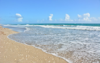 50 Celestial Way in Juno Beach, FL - Building Photo - Building Photo