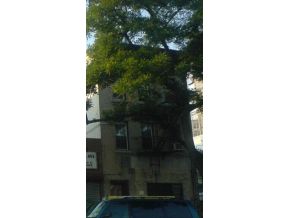 495 E New York Ave in Brooklyn, NY - Building Photo