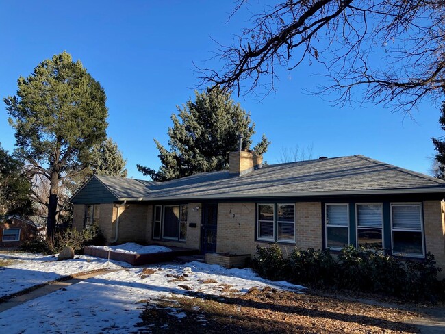 1013 N Star Dr in Colorado Springs, CO - Building Photo - Building Photo