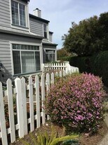 310 Commodore Dr in Richmond, CA - Building Photo