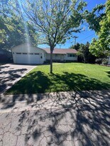 4430 Clytie Way in Sacramento, CA - Building Photo