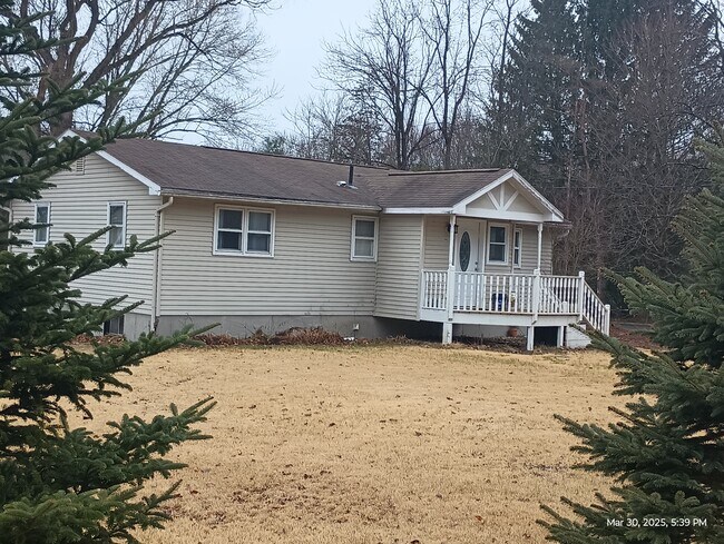 49 Plumtree Rd in Sunderland, MA - Building Photo - Building Photo