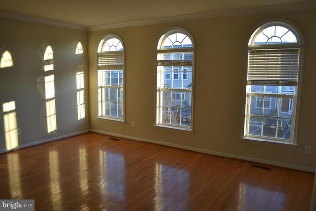 15689 William Bayliss Ct in Woodbridge, VA - Building Photo - Building Photo