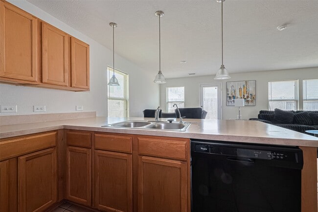 19229 Gunther Springs Ct