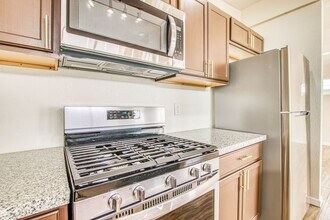 8818 Mt Elbert Dr in El Paso, TX - Building Photo - Building Photo