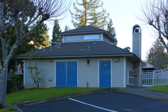 Redwood Grove Apartments in Sebastopol, CA - Building Photo - Building Photo