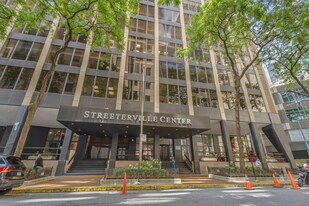 233 E Erie St in Chicago, IL - Building Photo