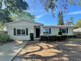 1309 Castleworks Ln in Tarpon Springs, FL - Building Photo