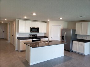 12207 Kingsley Trl in Duette, FL - Building Photo - Building Photo