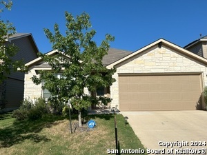 22211 Green Jacket in San Antonio, TX - Foto de edificio - Building Photo