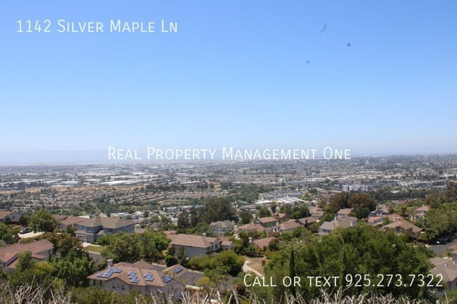 1142 Silver Maple Ln in Hayward, CA - Building Photo - Building Photo