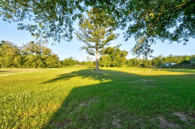 23950 Coats Rd in Springfield, LA - Building Photo - Building Photo