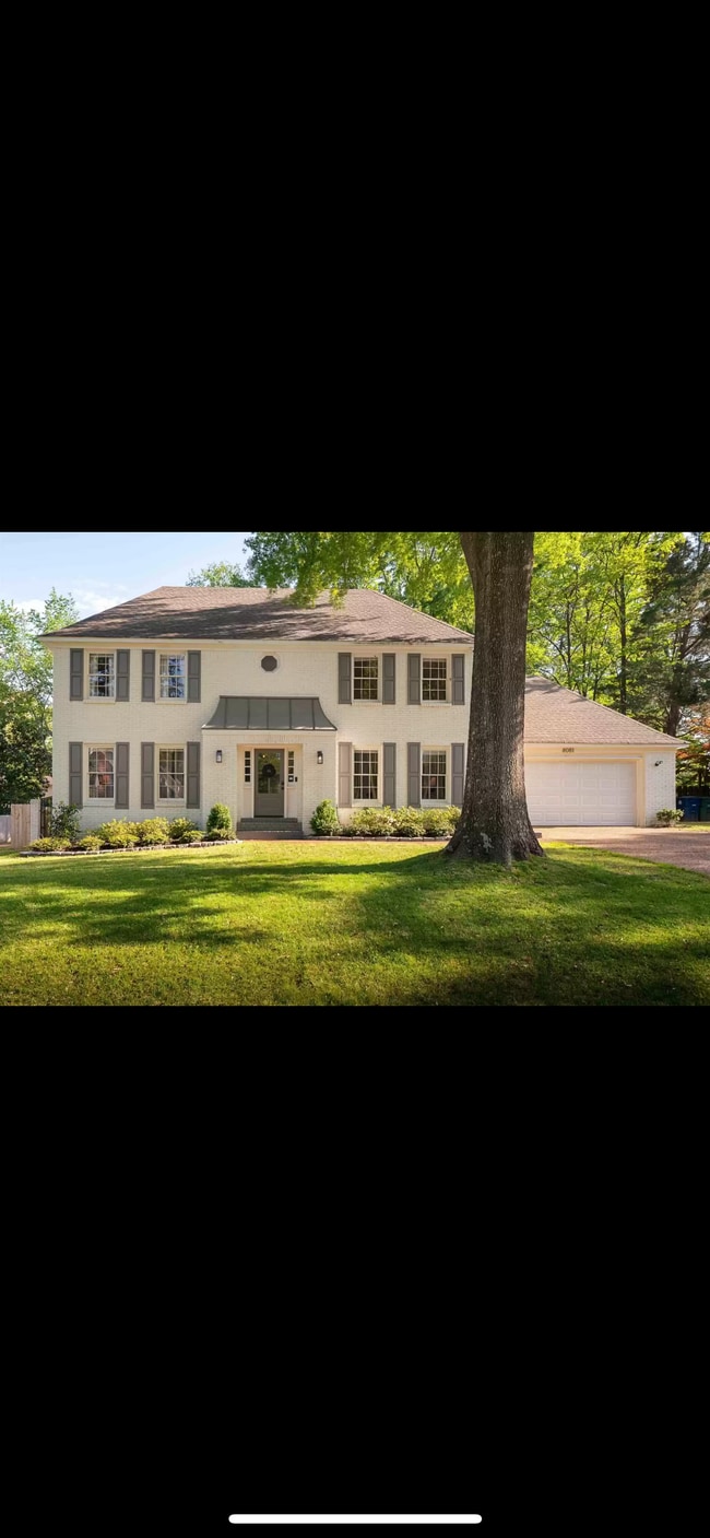 8081 Ridgetown Ln in Germantown, TN - Building Photo - Building Photo