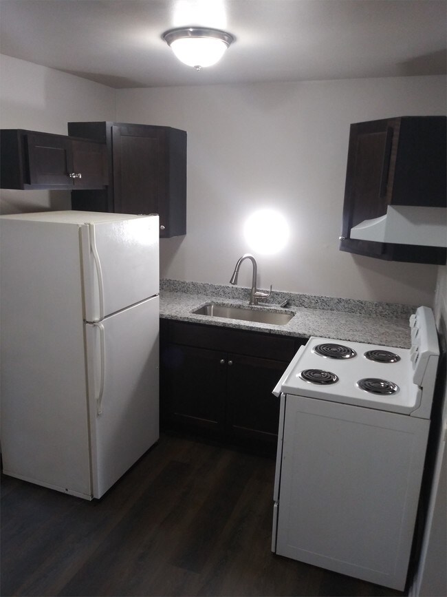 2254 1st St-Unit -Unit 2 in Wyandotte, MI - Building Photo - Building Photo